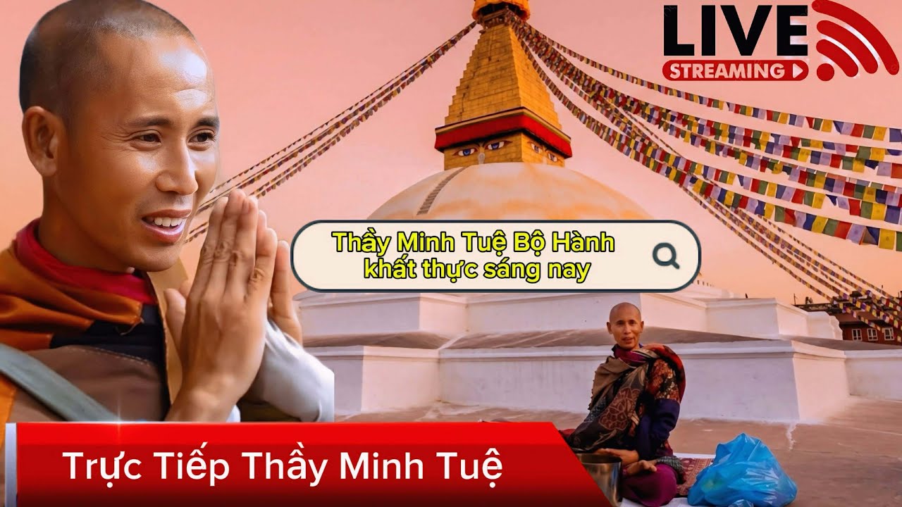 Trực tiếp Thầy Minh Tuệ Bộ Hành Khất Thực Sáng nay 19/3