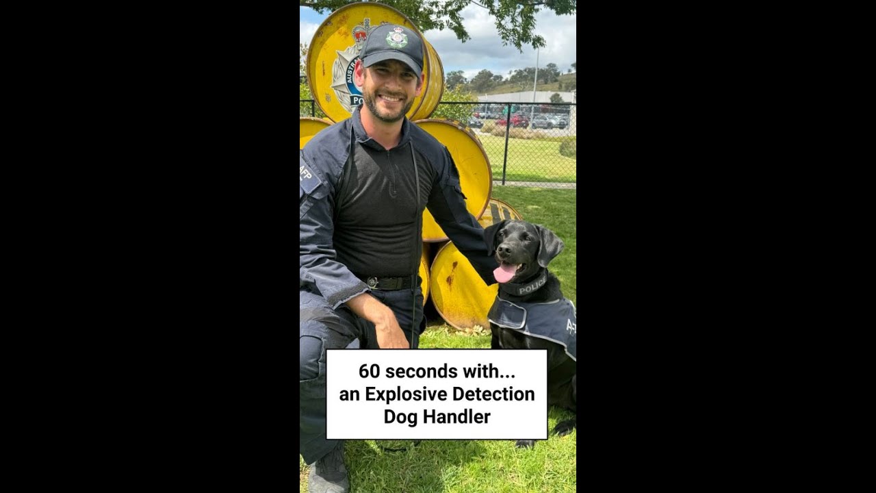 60 seconds with&hellip; an Explosive Detection Dog Handler.