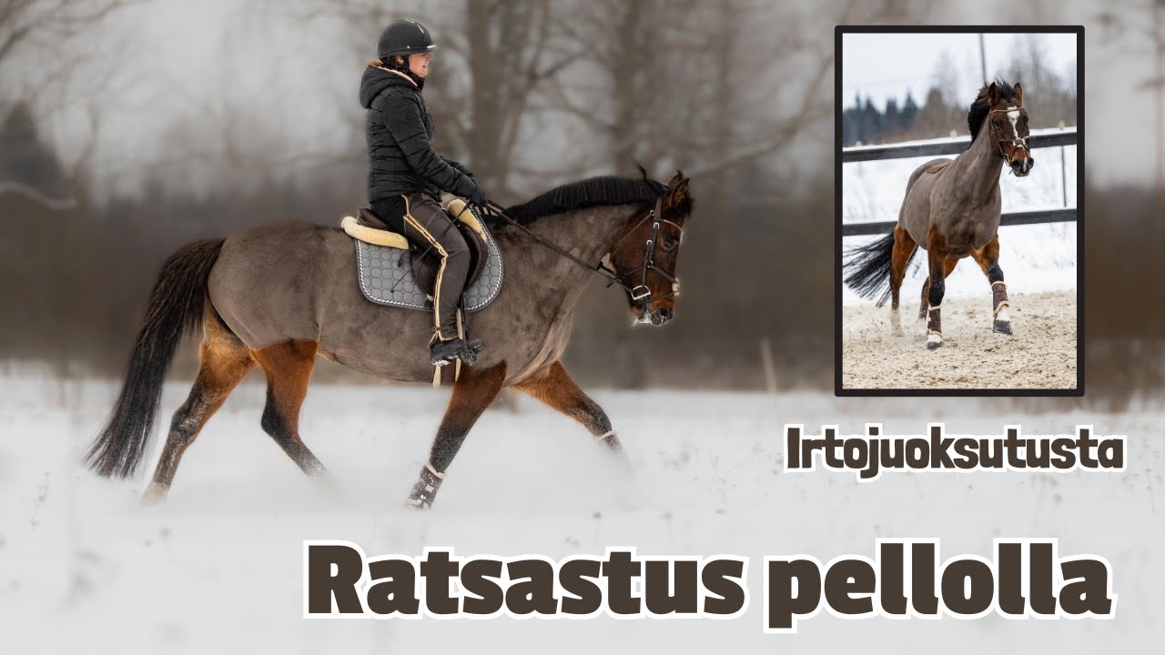 TALLIPÄIVÄ kuvaukset Minnin kanssa 📸