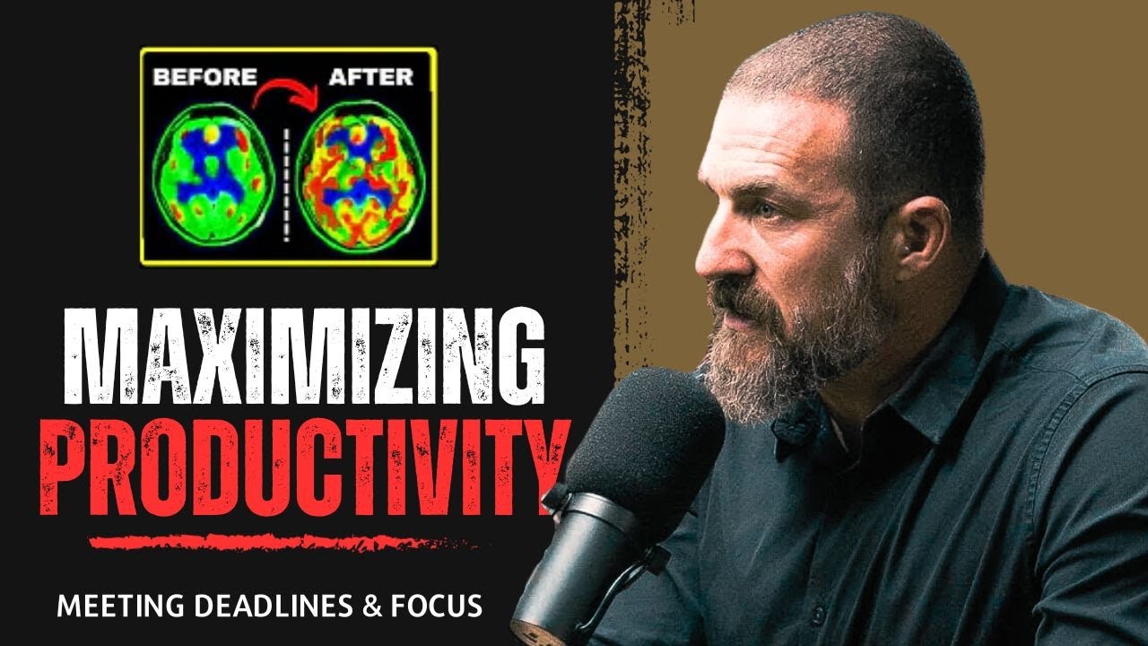 Art of Meeting Deadlines: Peace, Focus, and Maximizing Productivity | Andrew Huberman