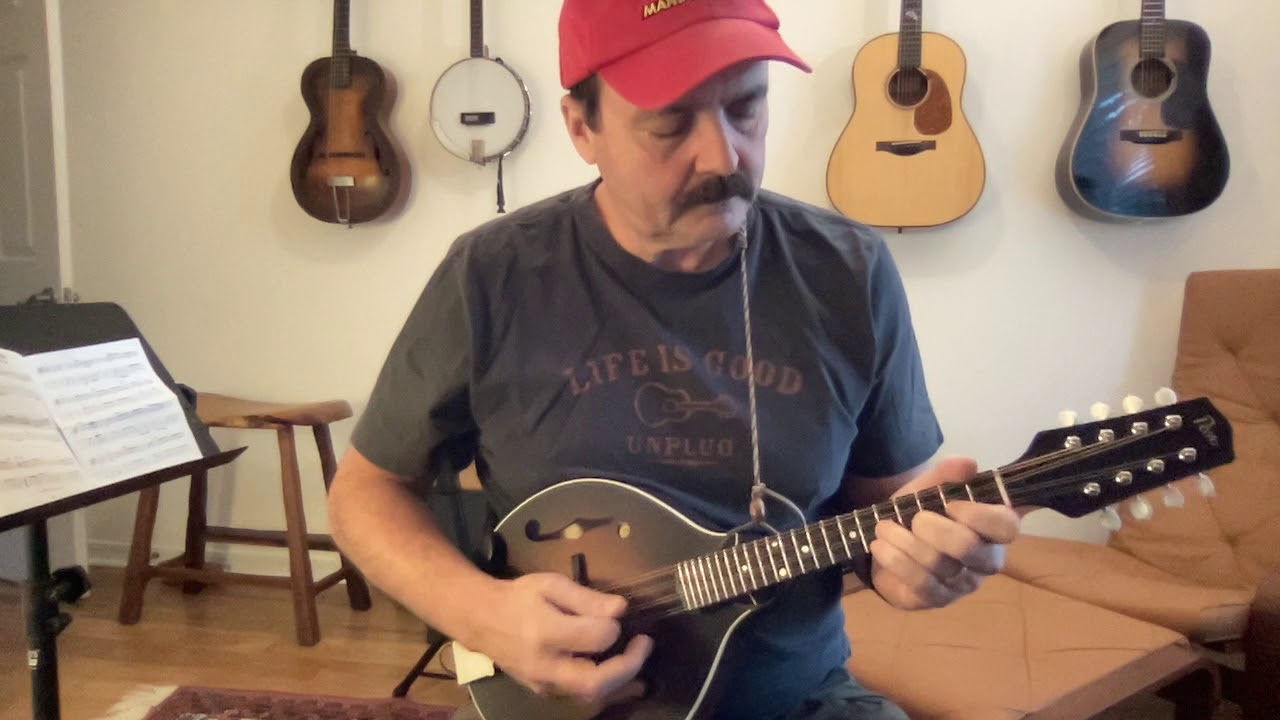 Pava 394 Demo