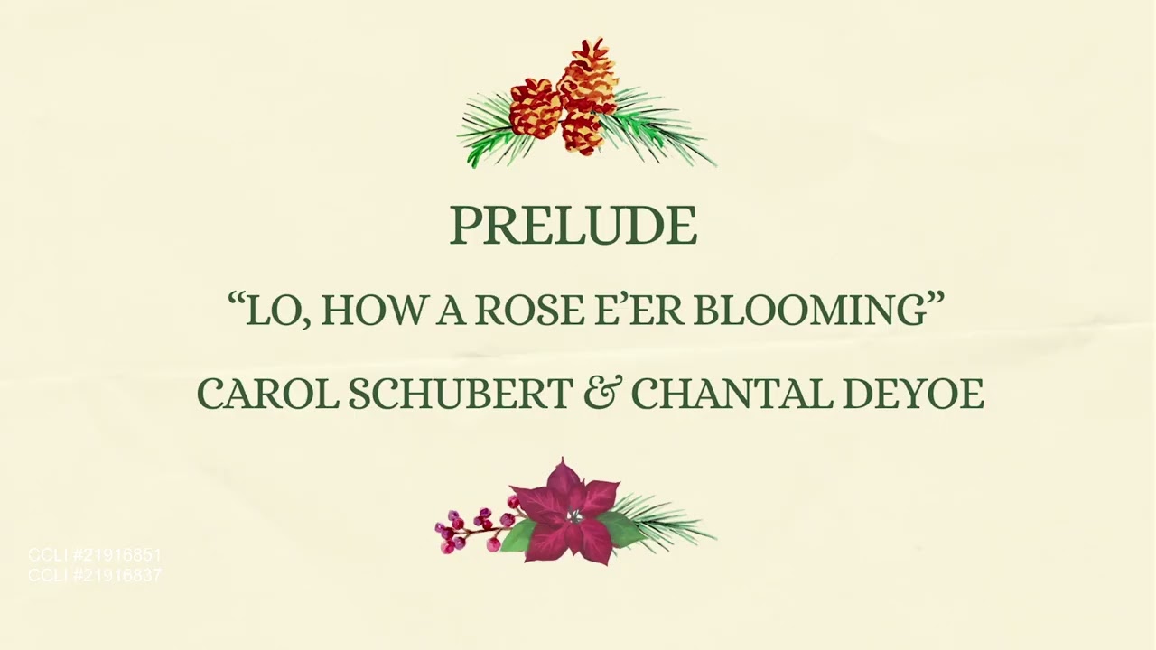 Lo, How A Rose E'er Blooming