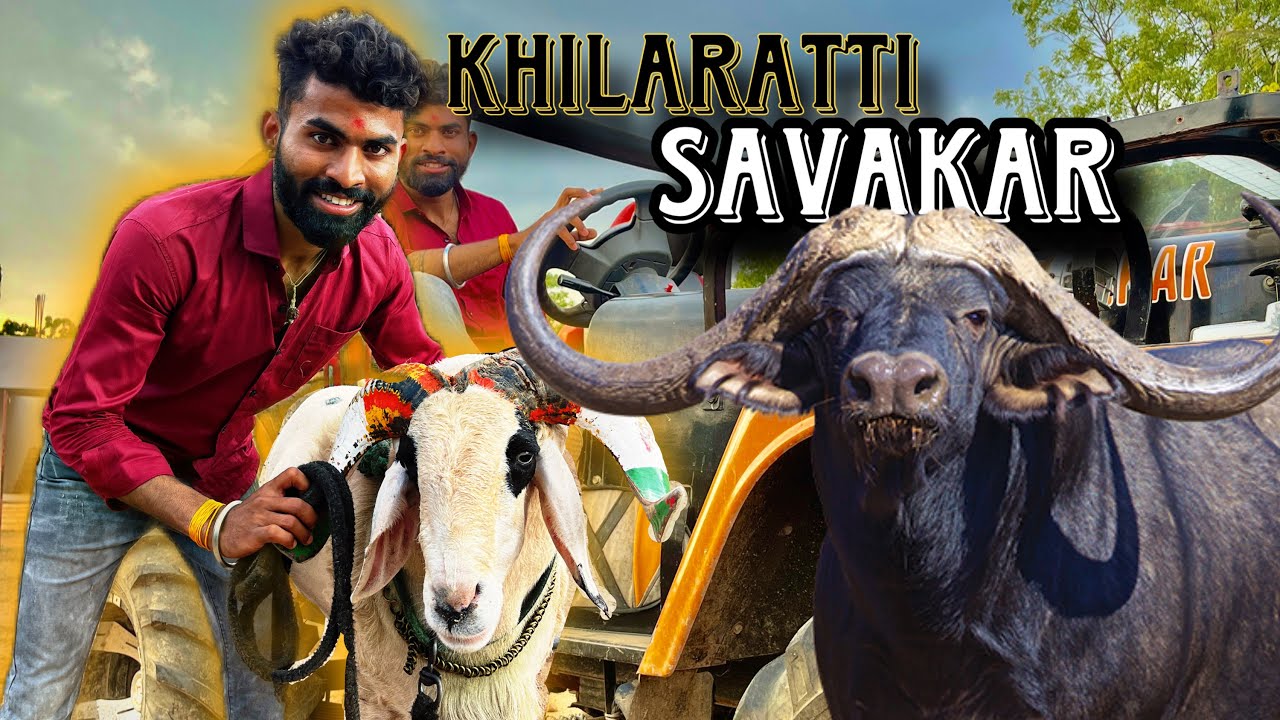 ರೈತ ✨ಸಾಮ್ರಾಜ್ಯ 🔥👳🏻‍♂️ TAGARU Premi🔥🐏 || A farmer's empire