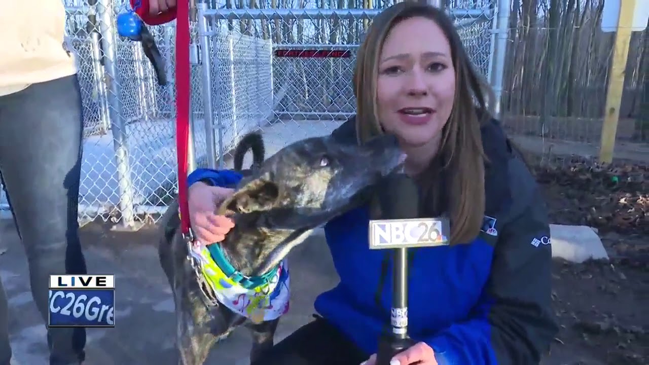 3rd Annual Dog Easter Egg Hunt