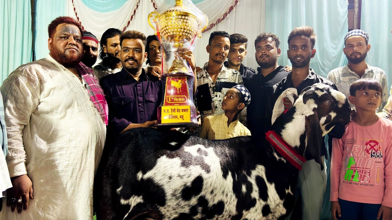 MHOW heavy weight goat competition 12 may 2024
