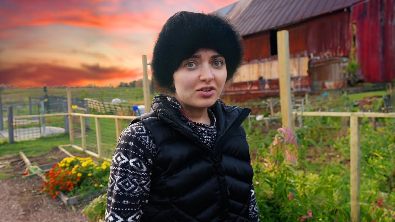 Жена хотела красивый садовый забор (вместо этого я сделал вот это)