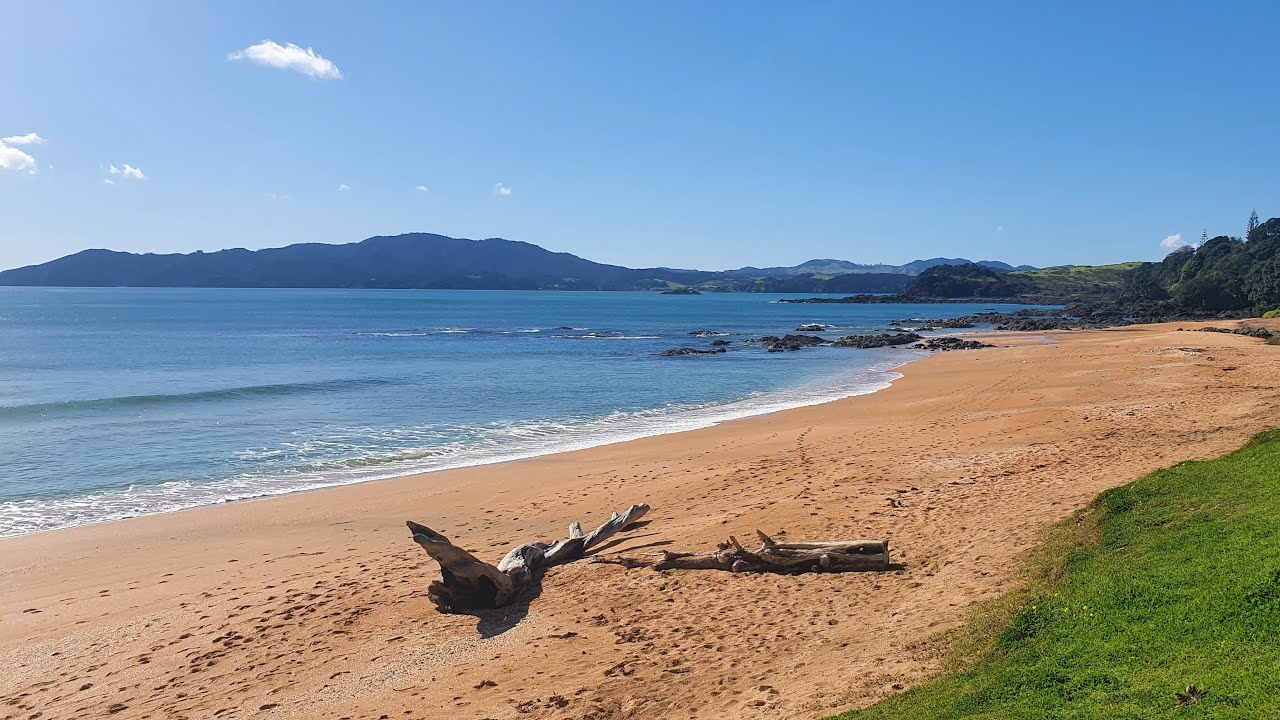 Doubtless Bay Softbaiting 2022
