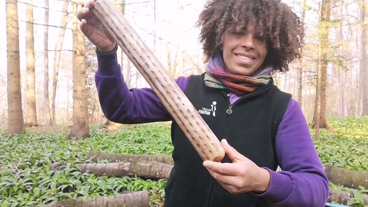 KINDERtrainer Wald & Natur - Klangeschichte