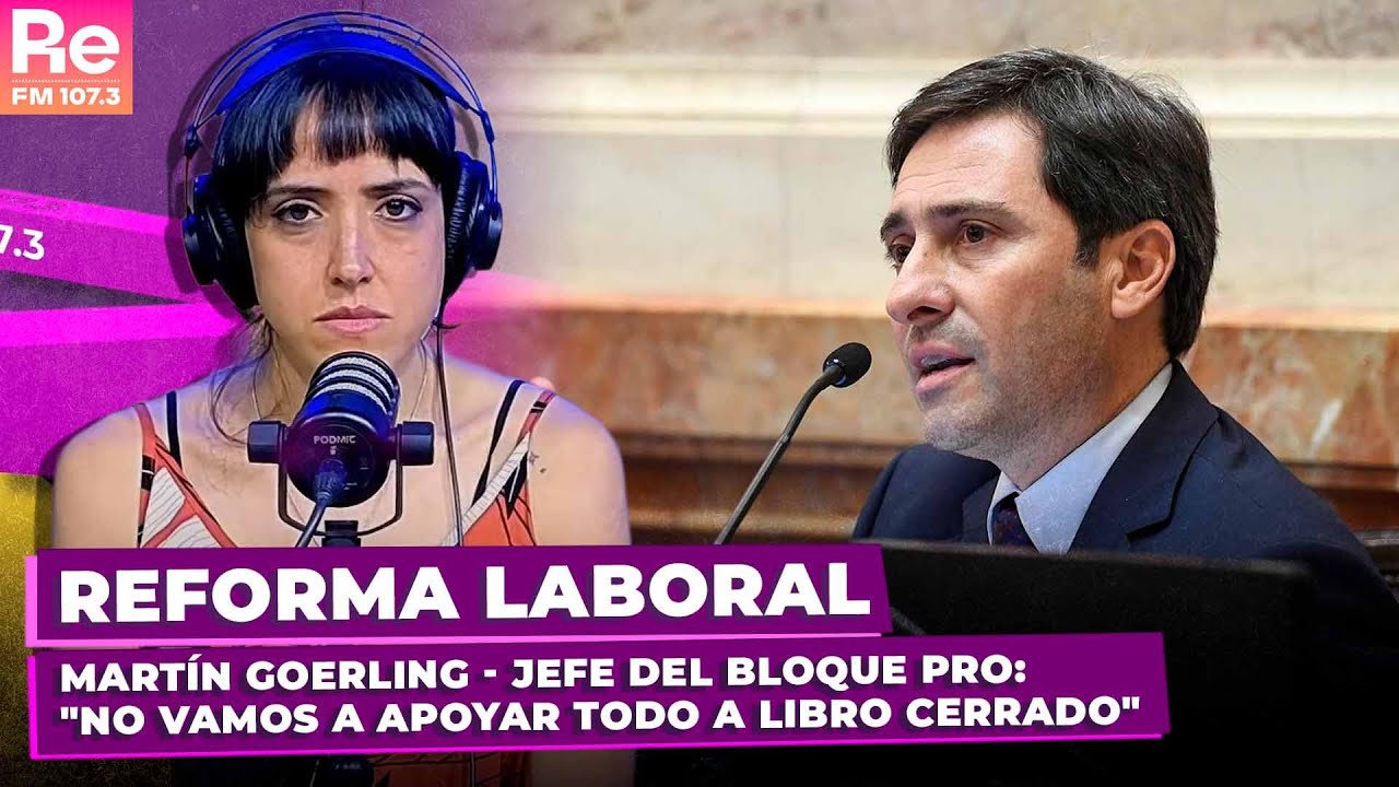 REFORMA LABORAL | Martín Goerling - Jefe del Bloque PRO: 