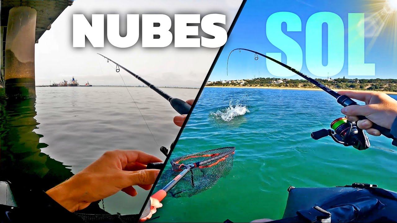 ¡BRUTAL VINILO, PESCA TODO! Spinning 𝙑𝙨 Rockfishing DESDE PATO