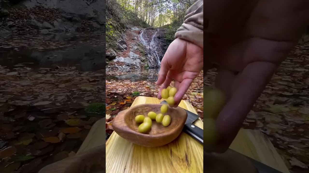 Campfire Cooking Like Never Before‼️ 