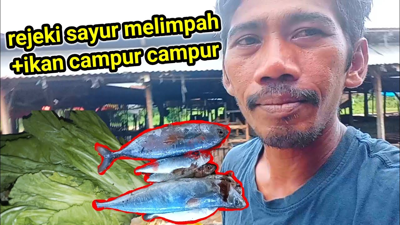 mulung sisa dagangan dapat ikan dan banyak sayuran