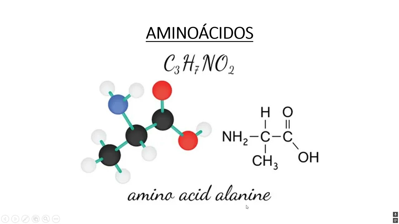 BIOQUIMICA