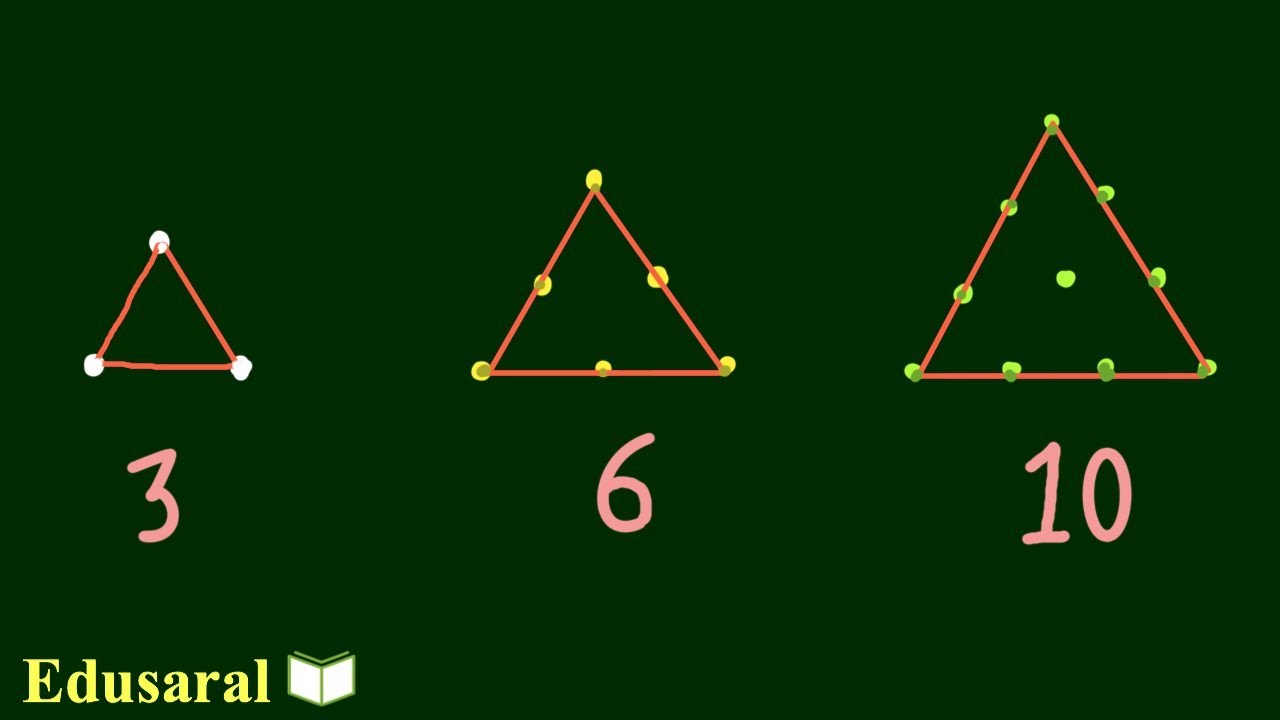 Concept , Formula and Patterns on Triangular Numbers | Ch-6.3d - 8th Std NCERT | Edusaral