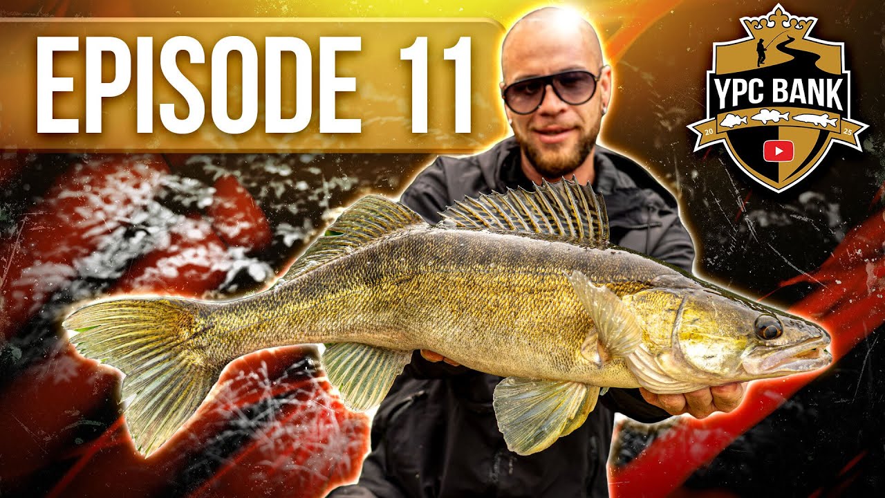Kostet dieser Aussteiger die Qualifikation? | YPC Bank 2025 Episode 11