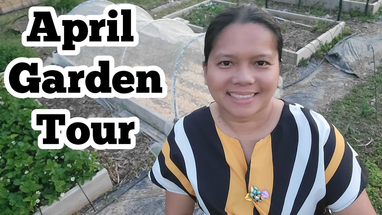 Mid-April Garden Tour | Plants Growing in my Zone 7 Kentucky Garden in Early Spring