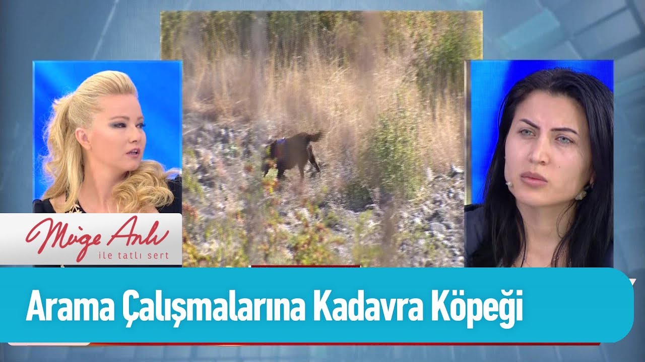 Arama çalışmalarına kadavra köpeği de katıldı - Müge Anlı ile Tatlı Sert 2 Ekim 2019