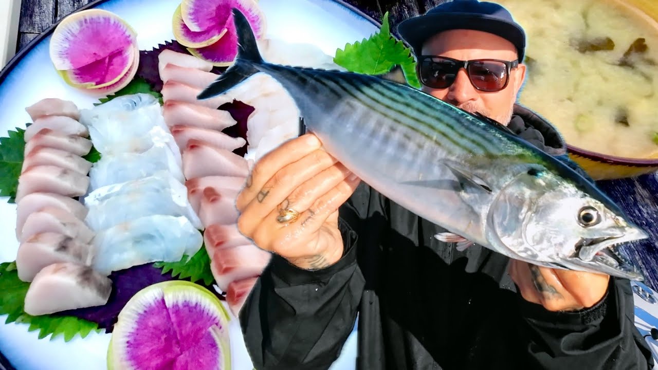 The BEST Sashimi Fish On Long Island | bonito run 