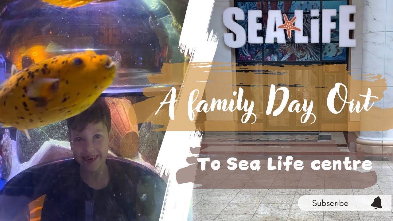Exploring the Sea Life Centre/ family day trip
