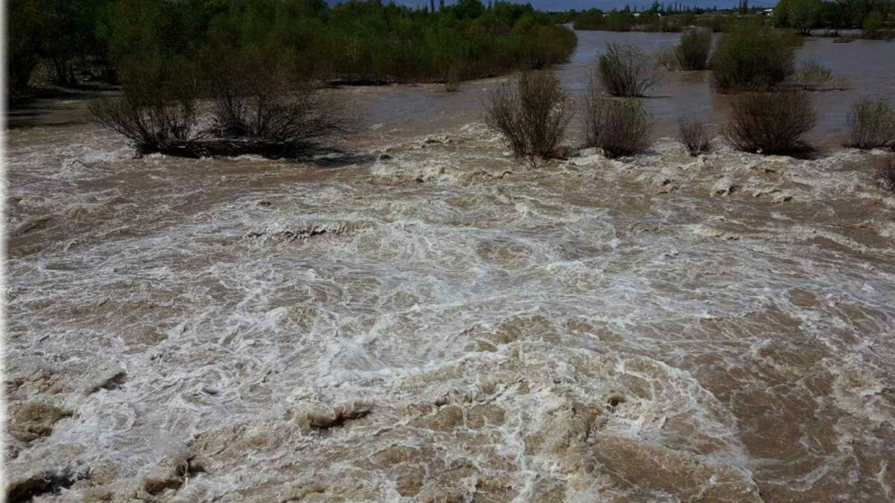 KENAN SEREN * Berxam *