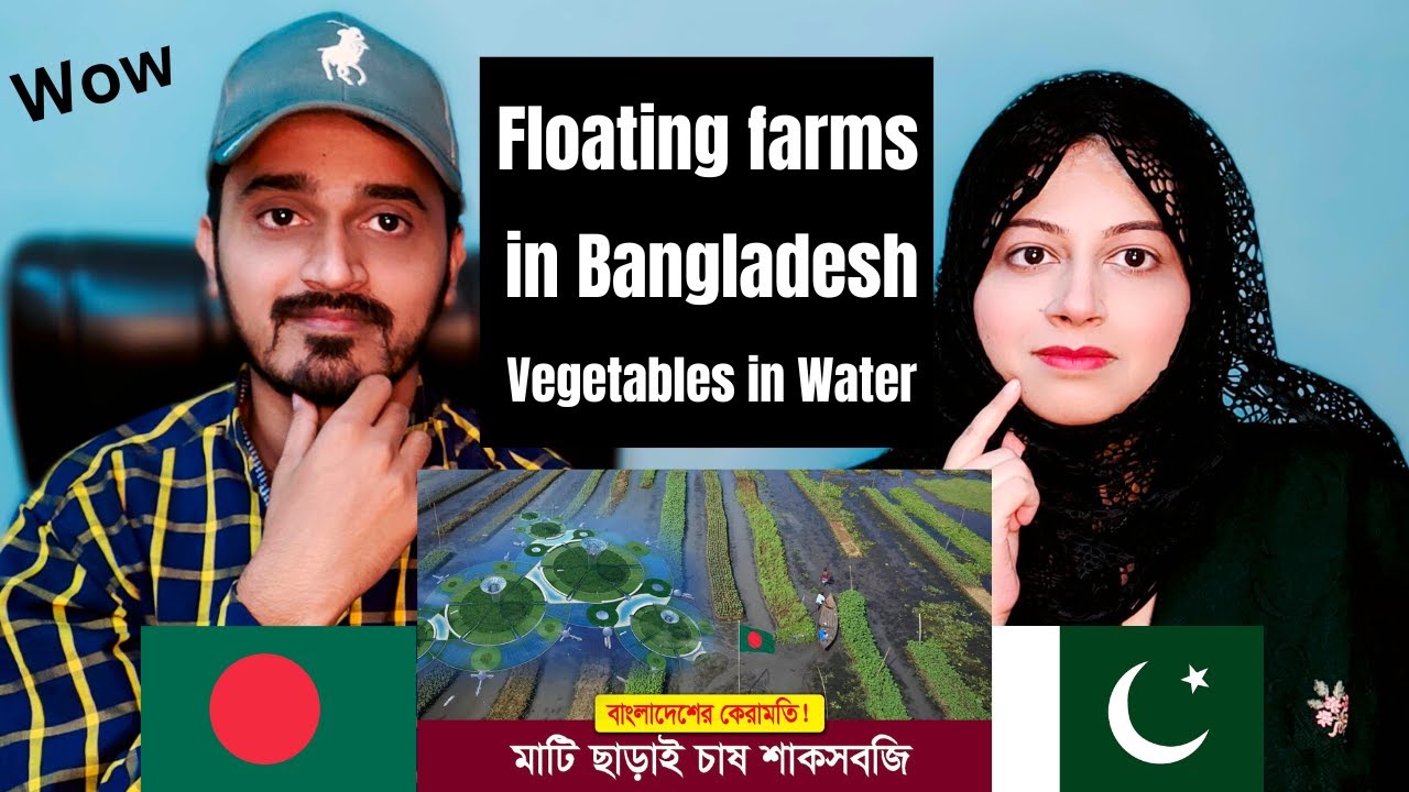 বাংলাদেশী কৃষকের কেরামতি !! বরিশালে মাটি ছাড়াই চাষ শাকসবজি !! Floating farms in Bangladesh