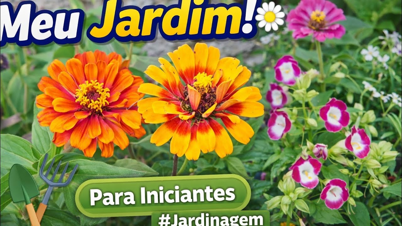 3 plantas fáceis de cultivar no quintal