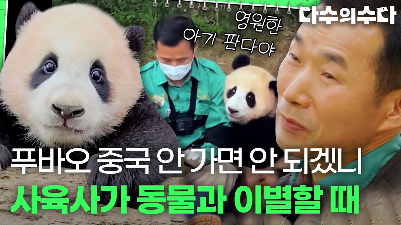 이번에 가면 못 돌아오는 거였어요..?😢 아쉬운 헤어짐을 준비하는 사육사들의 이야기｜다수의 수다｜JTBC 220121 방송