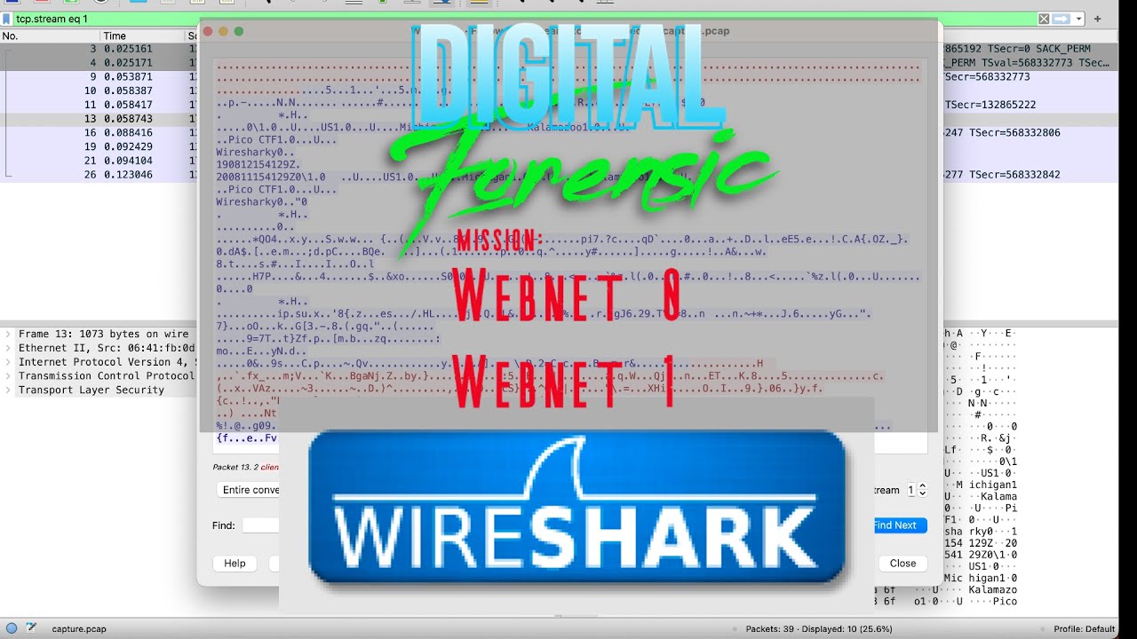 Digital Forensic on picoCTF WebNet [0-1] using WireShark