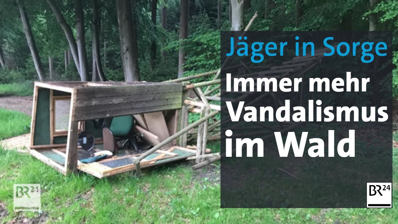 Zerstörte Hochsitze, kaputte Jagdstände: Jäger beklagen Vandalismus im Wald | Abendschau | BR24