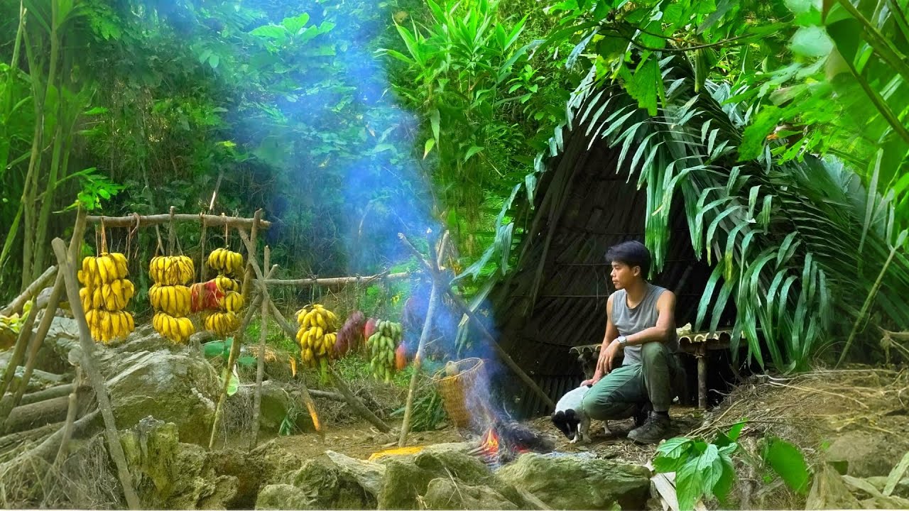 Survival in the deep jungle. Picking bananas, harvesting wild papayas.  Majestic mountains