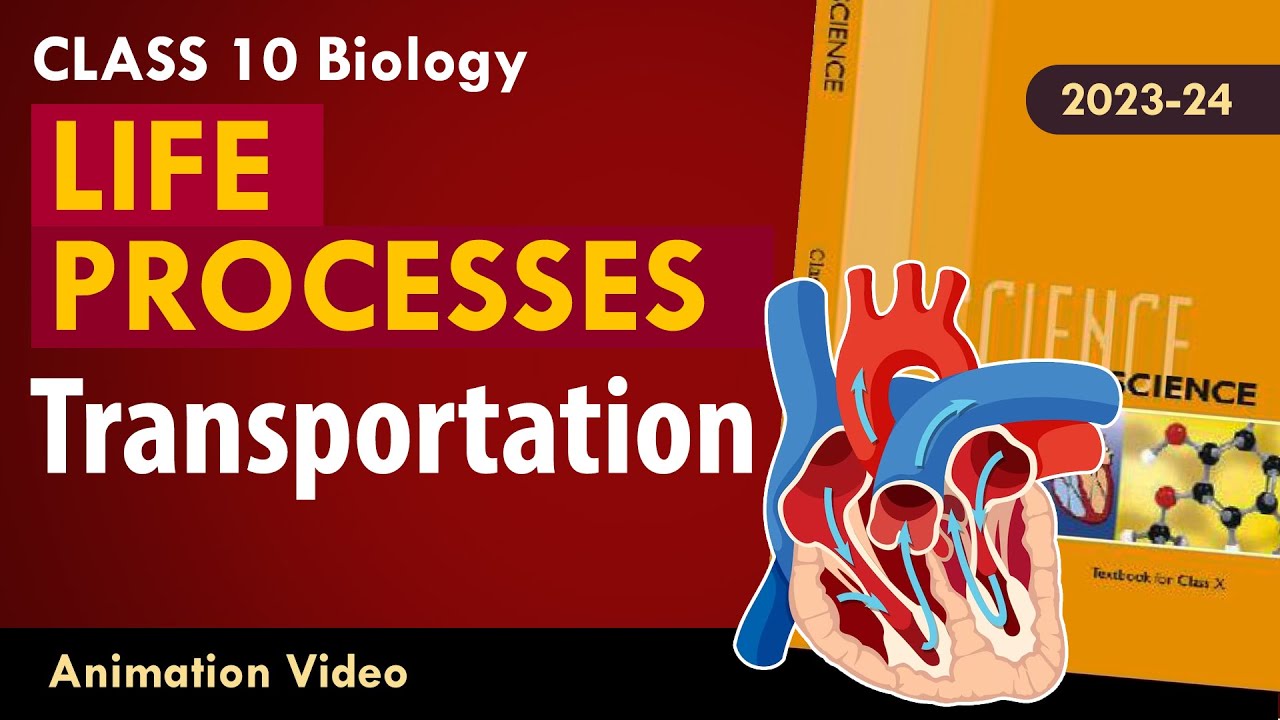 Life process class 10 Animated video | 10th BIOLOGY | ncert #science | Chapter 7 #transportation