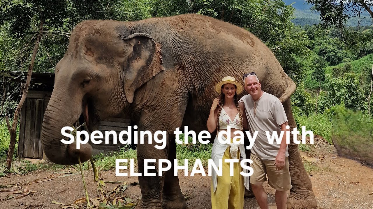 The best day ever at Chai Lai Orchid elephant sanctuary 