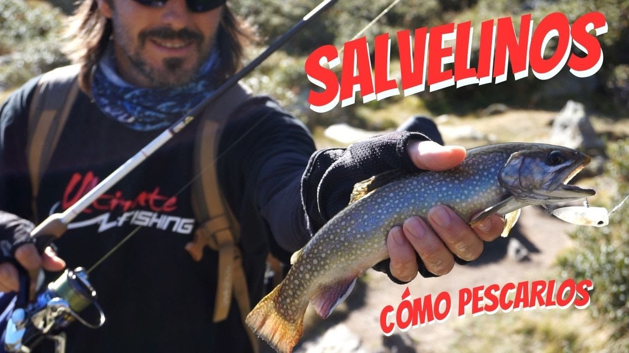 Cómo pescar salvelino / Señuelos y estrategias