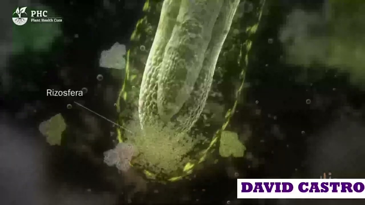 Grado Brix Uva. Grave error