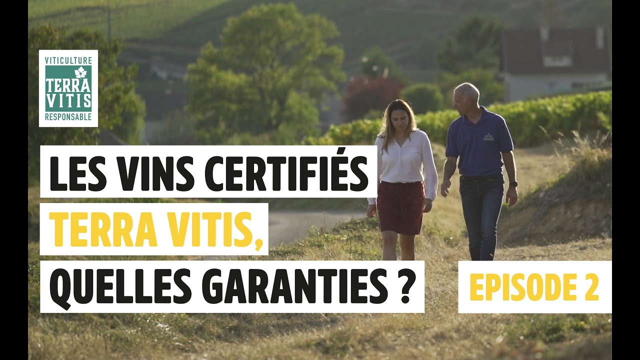 BOURGOGNE : Les bonnes démarches Terra Vitis au Château de Santenay