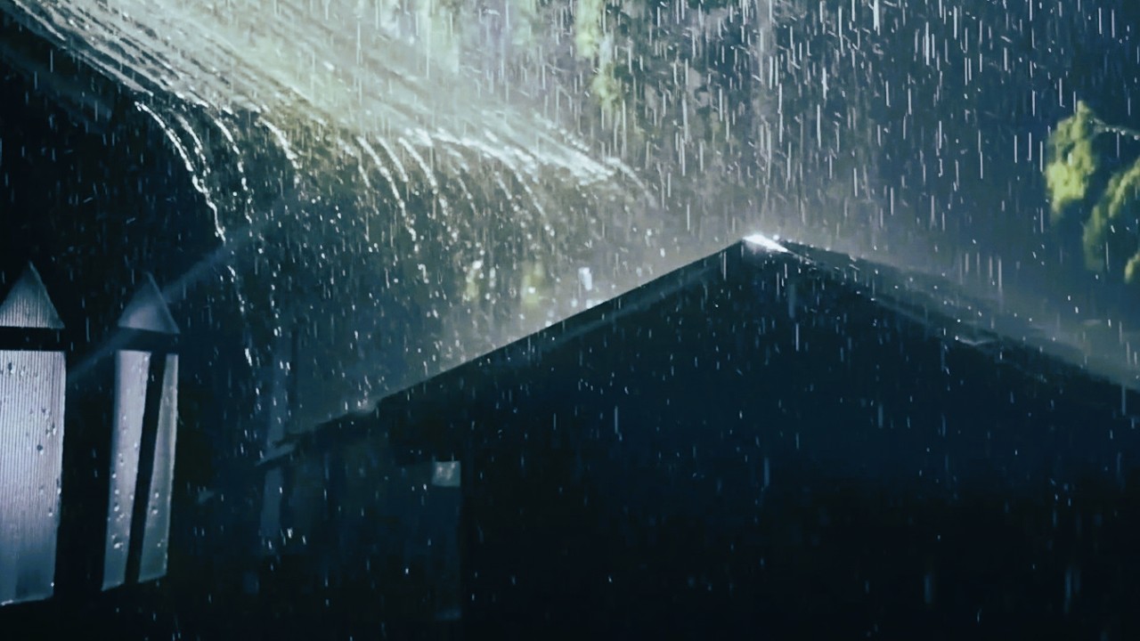 Forest Midnight Downpour on Tin Roof 🌲 Rain Sounds for Deep Sleep & Insomnia