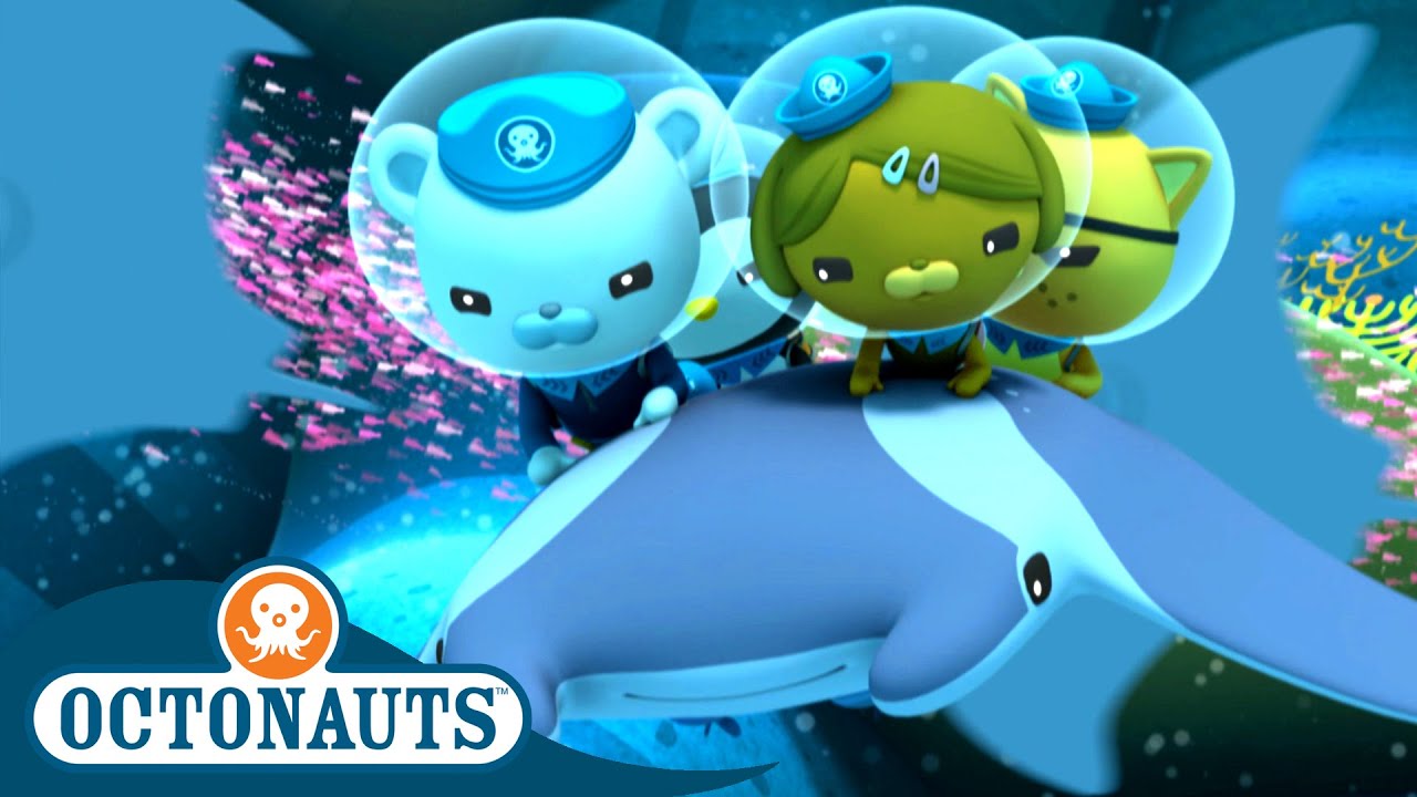 Octonauts - Manta Rays & The Swashbuckling Swordfish | Cartoons for Kids | Underwater Sea Education