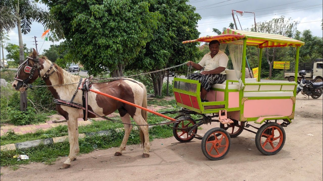 ghoda gadi in Hyd | trained horse in Hyd | Raheem Mirza ghode wale hyd