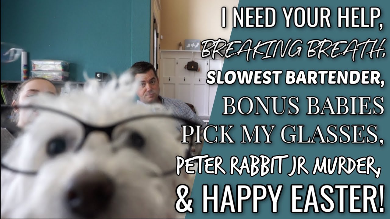 VLOG | Happy Easter! Car mukbang! Picking out glasses! And the time Sophia ended Peter Rabbit...