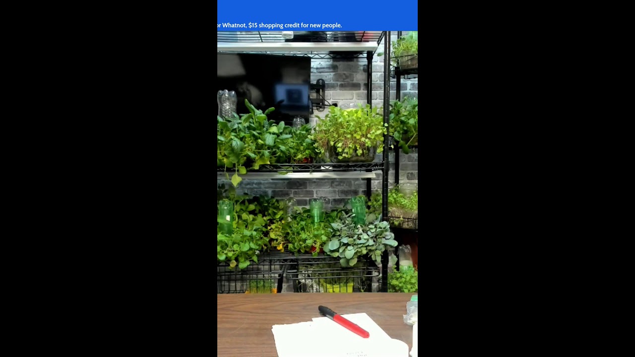 Grow Food Fast