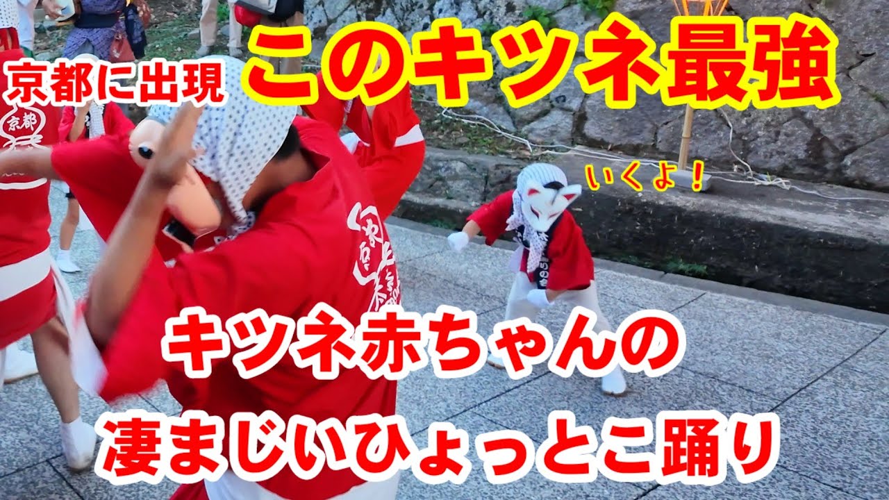 このキツネ最強！京都に現れた可愛すぎるキツネの赤ちゃんの凄まじいひょっとこ踊りに大人も釘付け/満足稲荷神社/愛宕街道/太秦映画村/太秦ひょっとこ踊りの会 