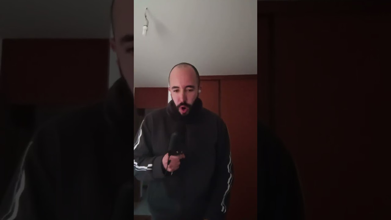 At The Gates -Slaughter of The Soul Vocal Cover