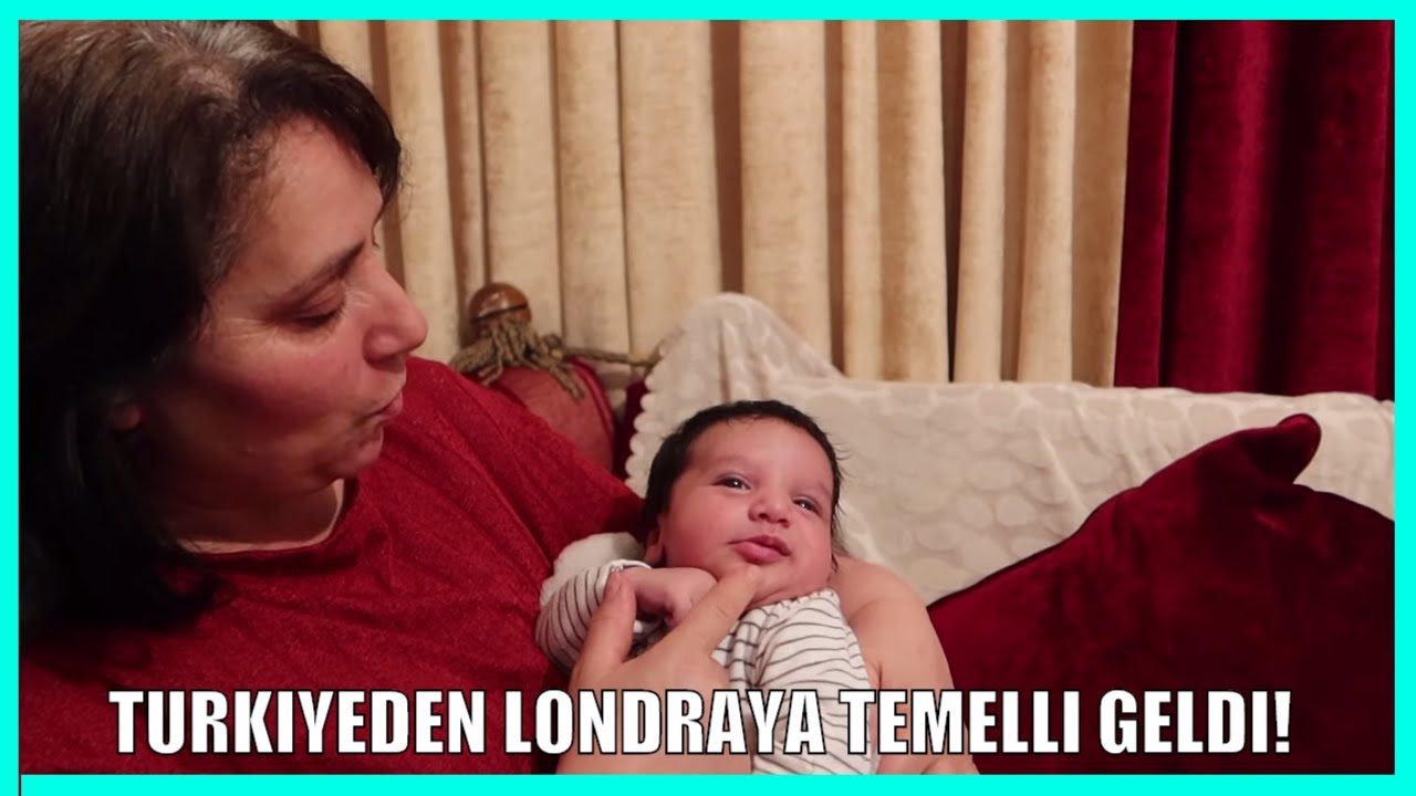 GORUMCEMIN ESI TURKIYEDEN GELDI! 2 BUYUK KOPEK VE 2 KEDIMIZ VAR! GUNLUK VLOG