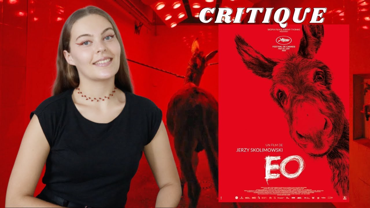 EO (Jerzy Skolimowski) - Critique