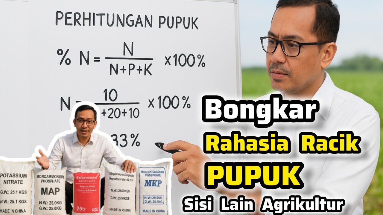 ‼️BONGKAR RAHASIA Racik PUPUK Sisi Lain Agrikultur‼️Cara Hitung Unsur Pupuk‼️Standar Internasional‼️