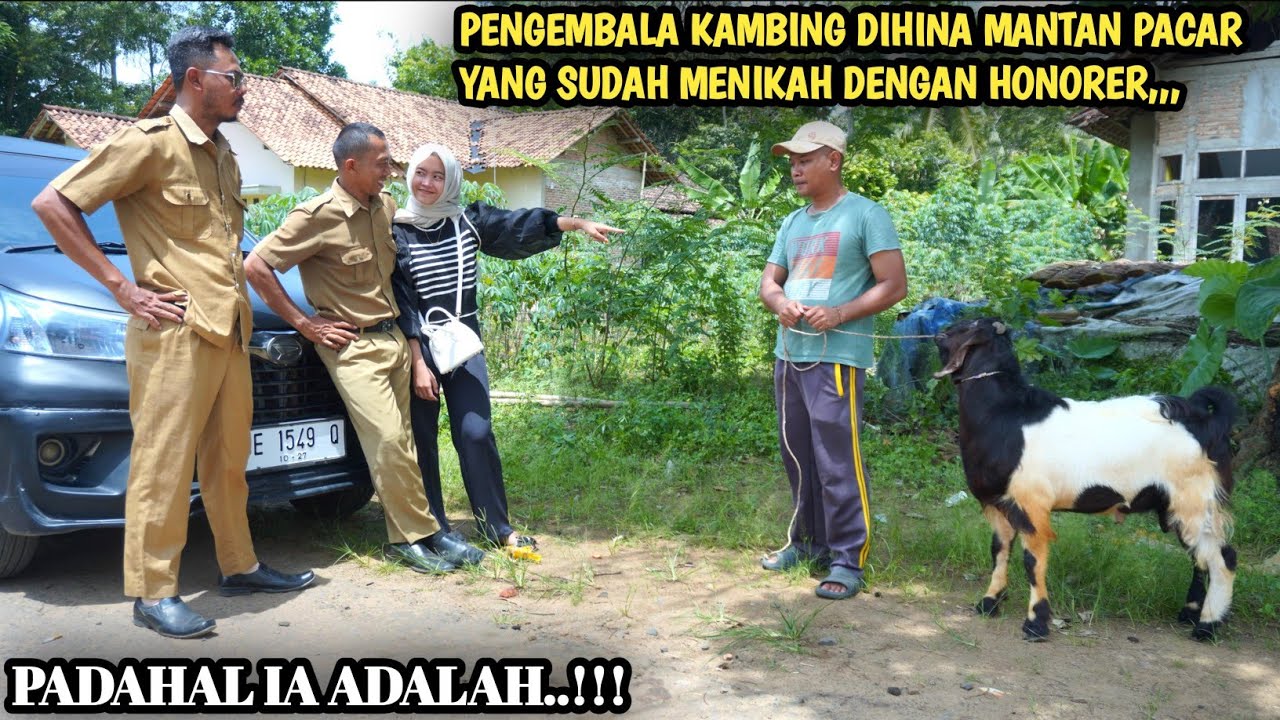 PENGEMBALA KAMBING DIHINA MANTAN PACAR YANG SUDAH MENIKAH DENGAN PEGAWAI, AKHIRNYA BIKIN MALU !!!