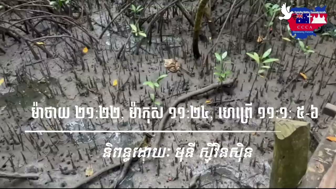 ដោយសារជំនឿ លំនាំបទៈ ស្លឹកឈើធ្លាក់ពីមែក ច្រៀដោយ ​កេសា សោភ័ណ