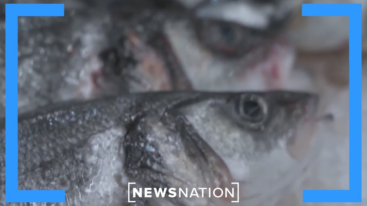Why your seafood may be from Russia, even if it says otherwise | Rush Hour