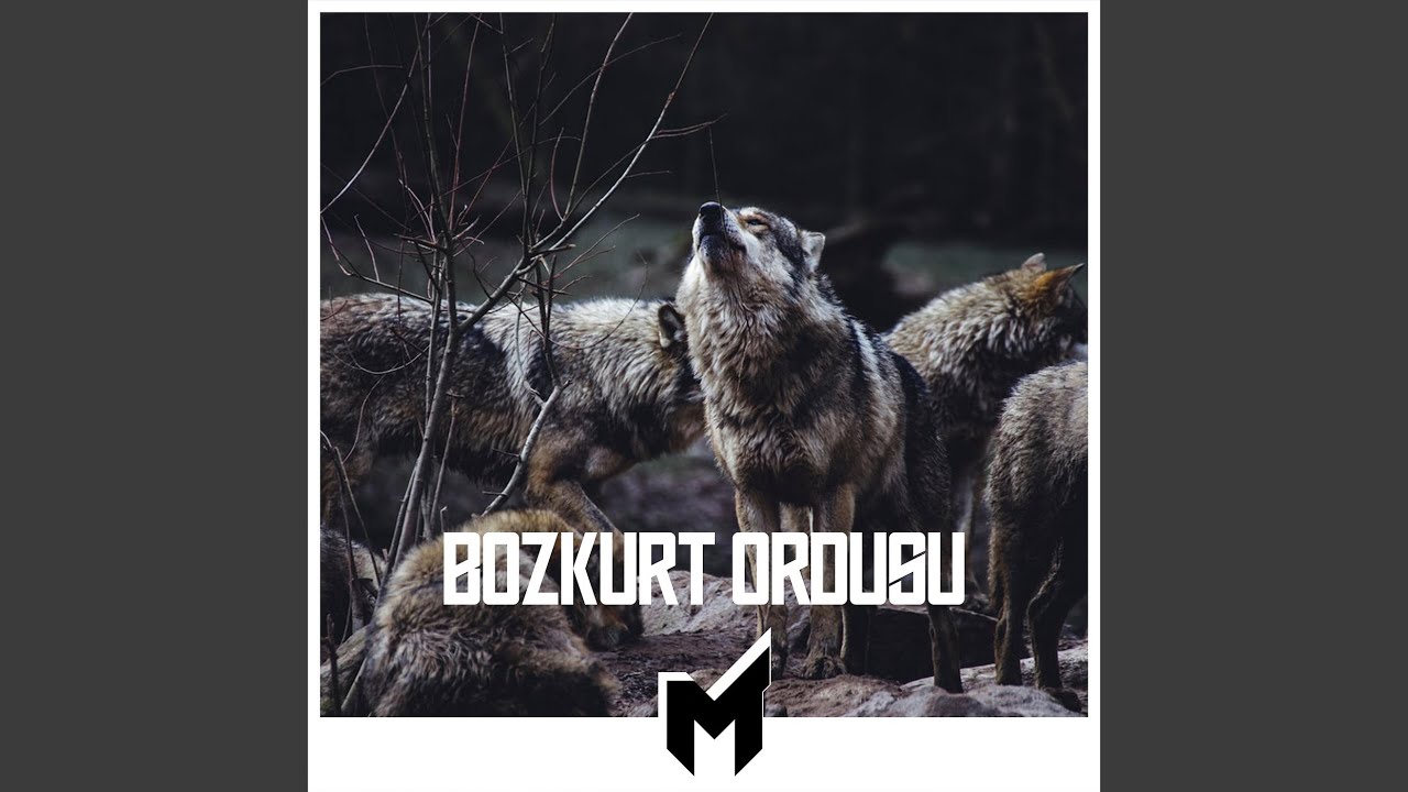 Bozkurt Ordusu