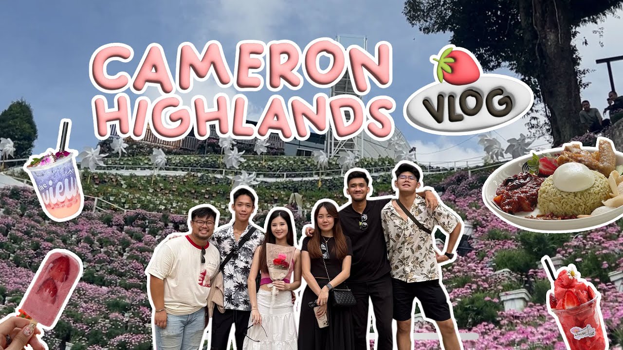 金马伦 Cameron Highlands Vlog EP01 | Strawberry Nasi Lemak, Flora Park, Centrum Market, Street Food 🍓⛰️